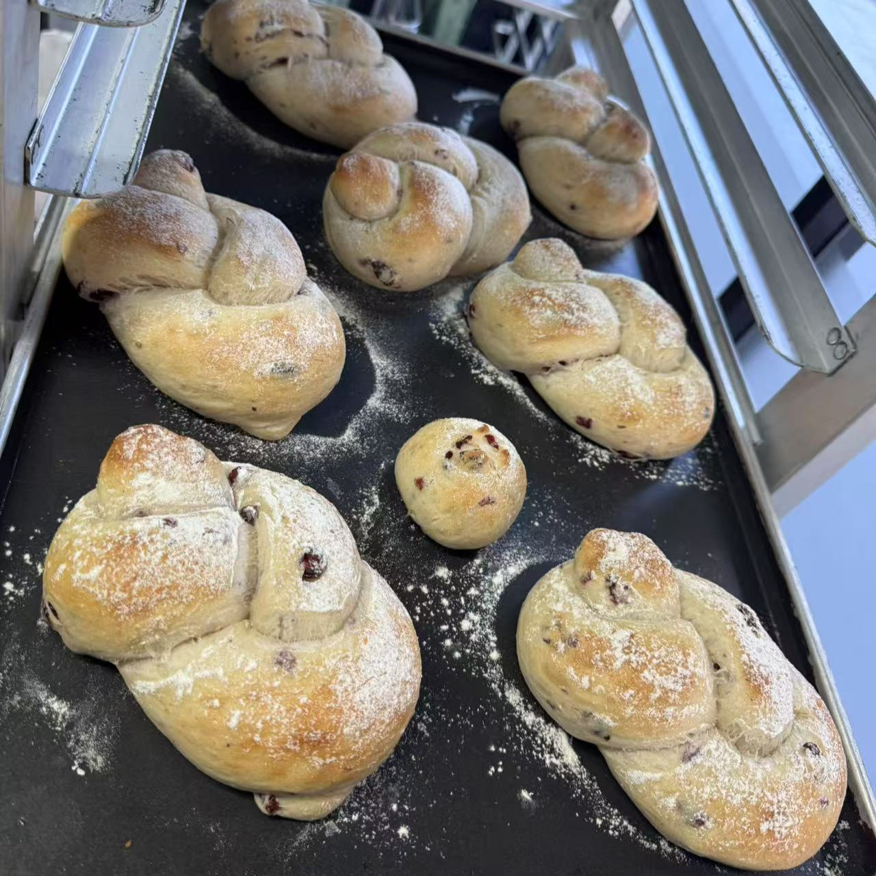 Cranberry Cream Cheese Euro Bread