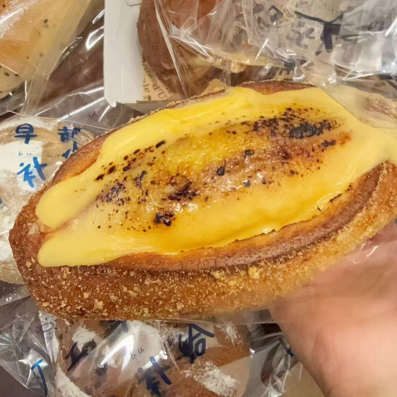 Baked Melted Cheese Milk Bread
