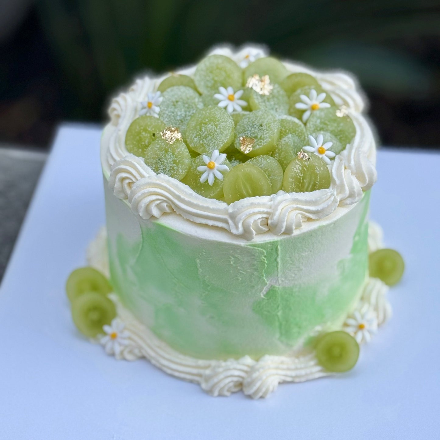 Jasmine Green Grape cake